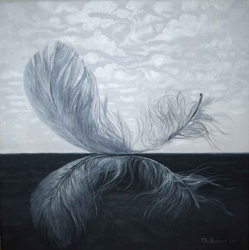Grey feather on dark and light backgrounds