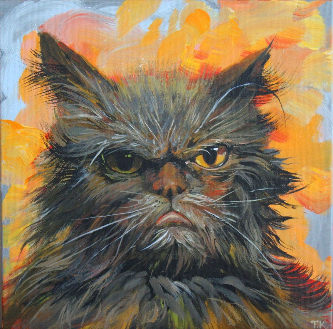 Grumpy looking cat on fire background