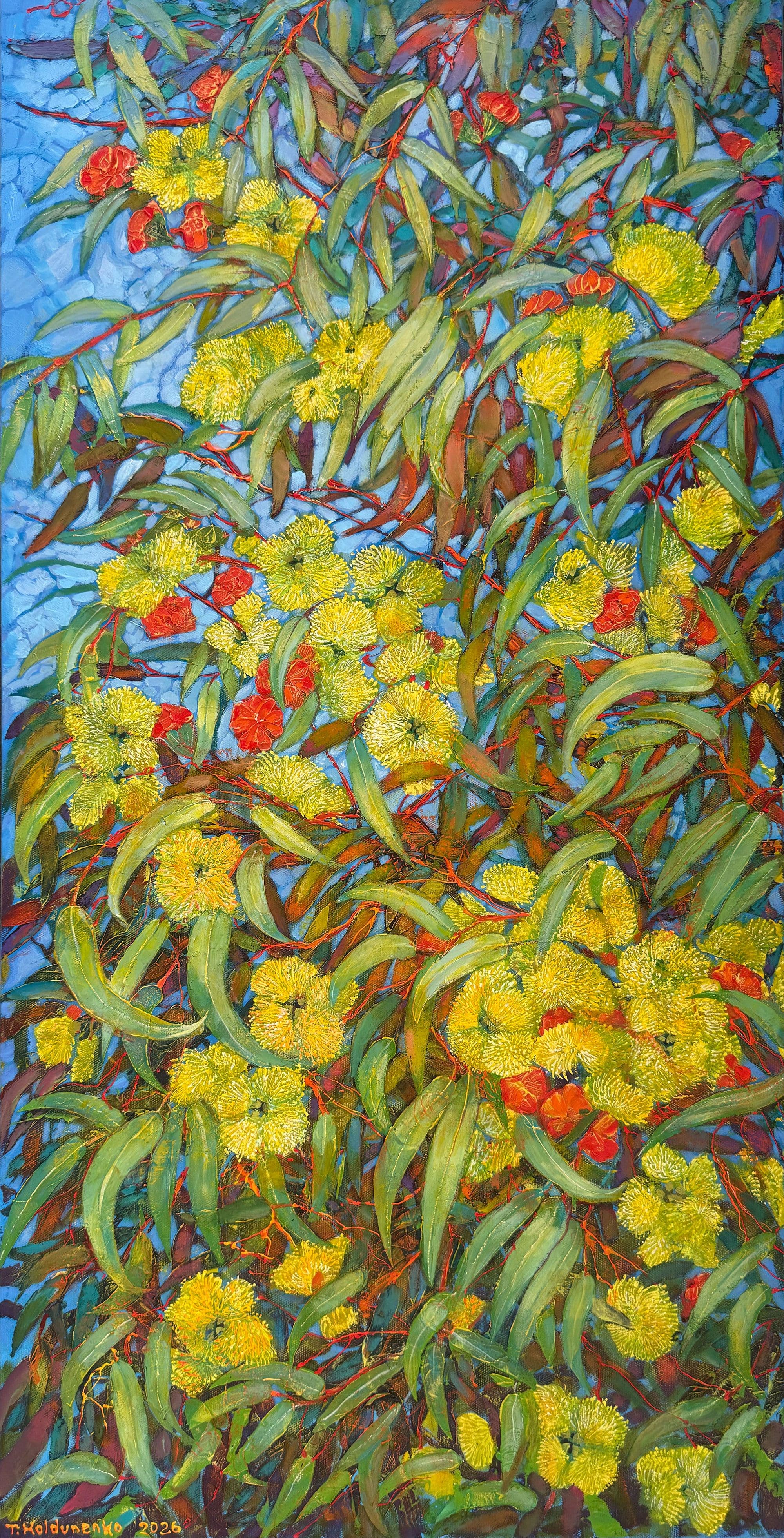 Coral Gum story