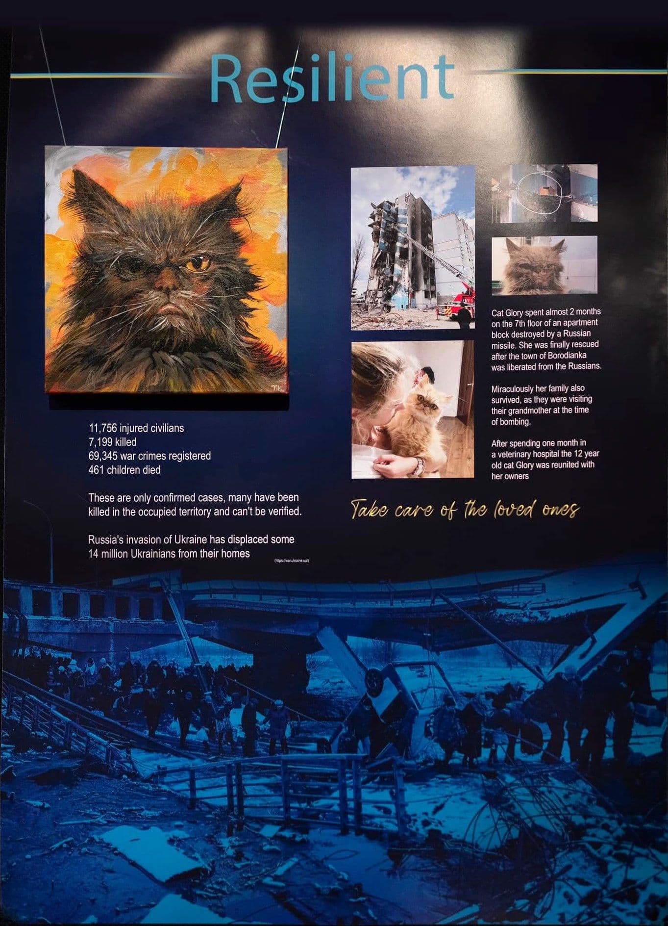 Resilient poster with explanation why the cat is grumpy