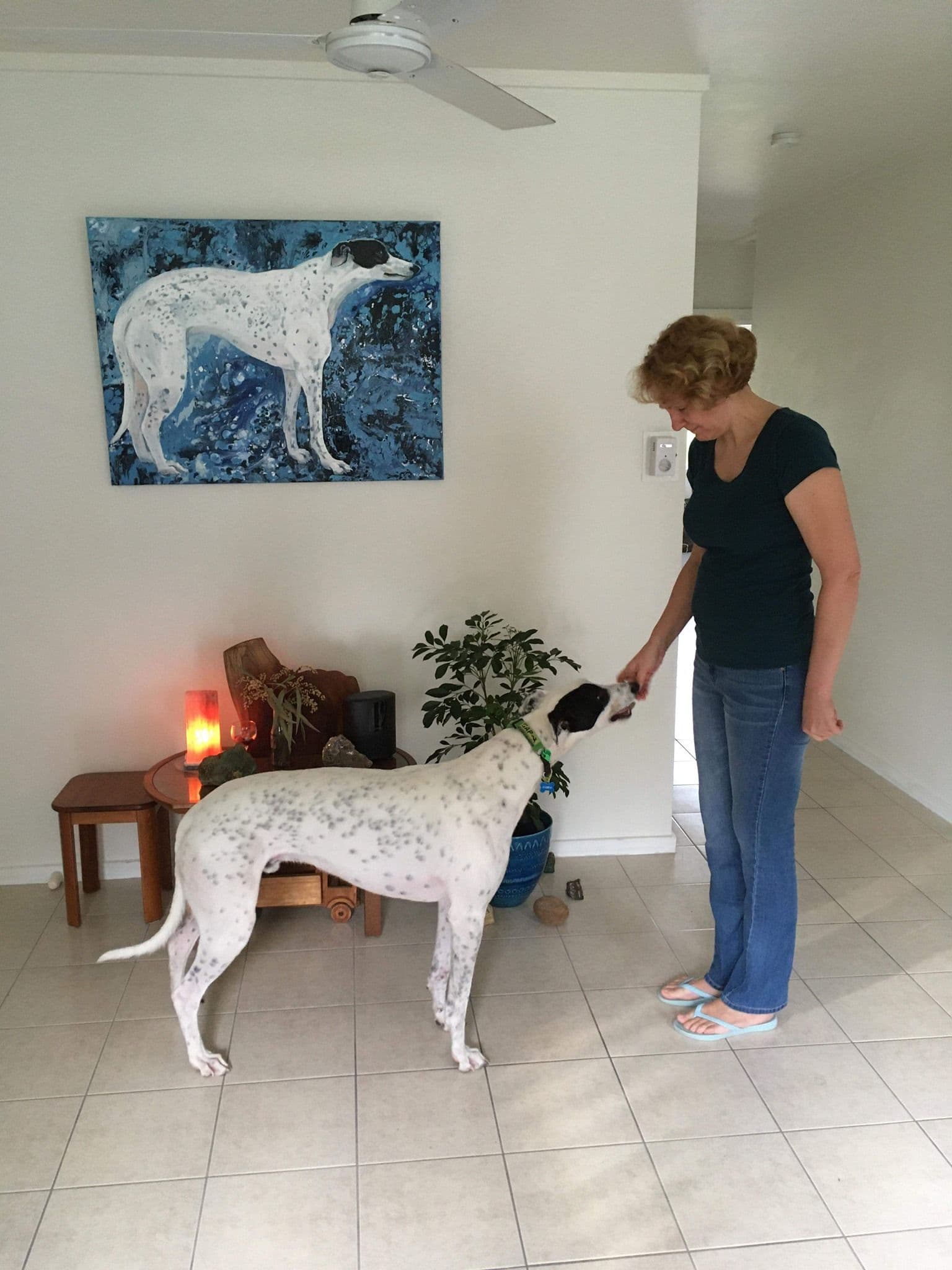 Greyhound dog in front of his portrait