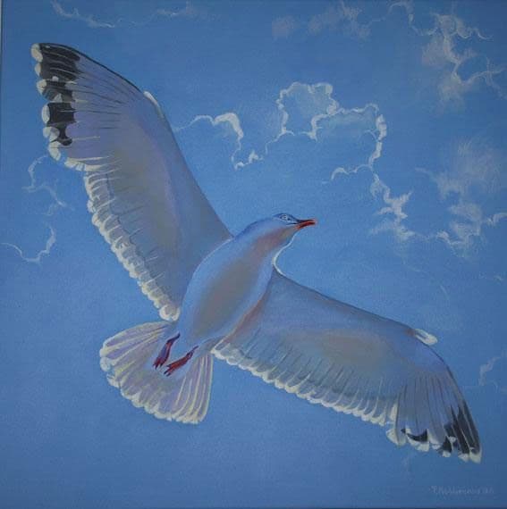 Seagull painting