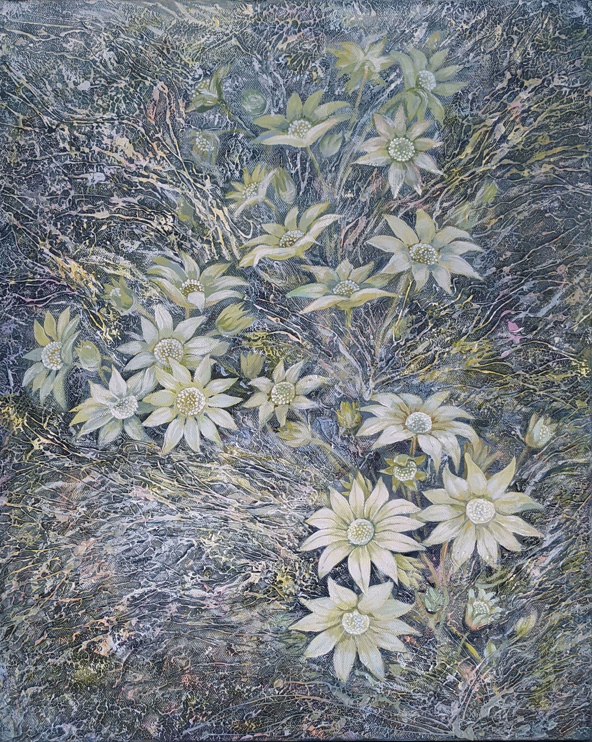 Flannel flowers in-between grey branches