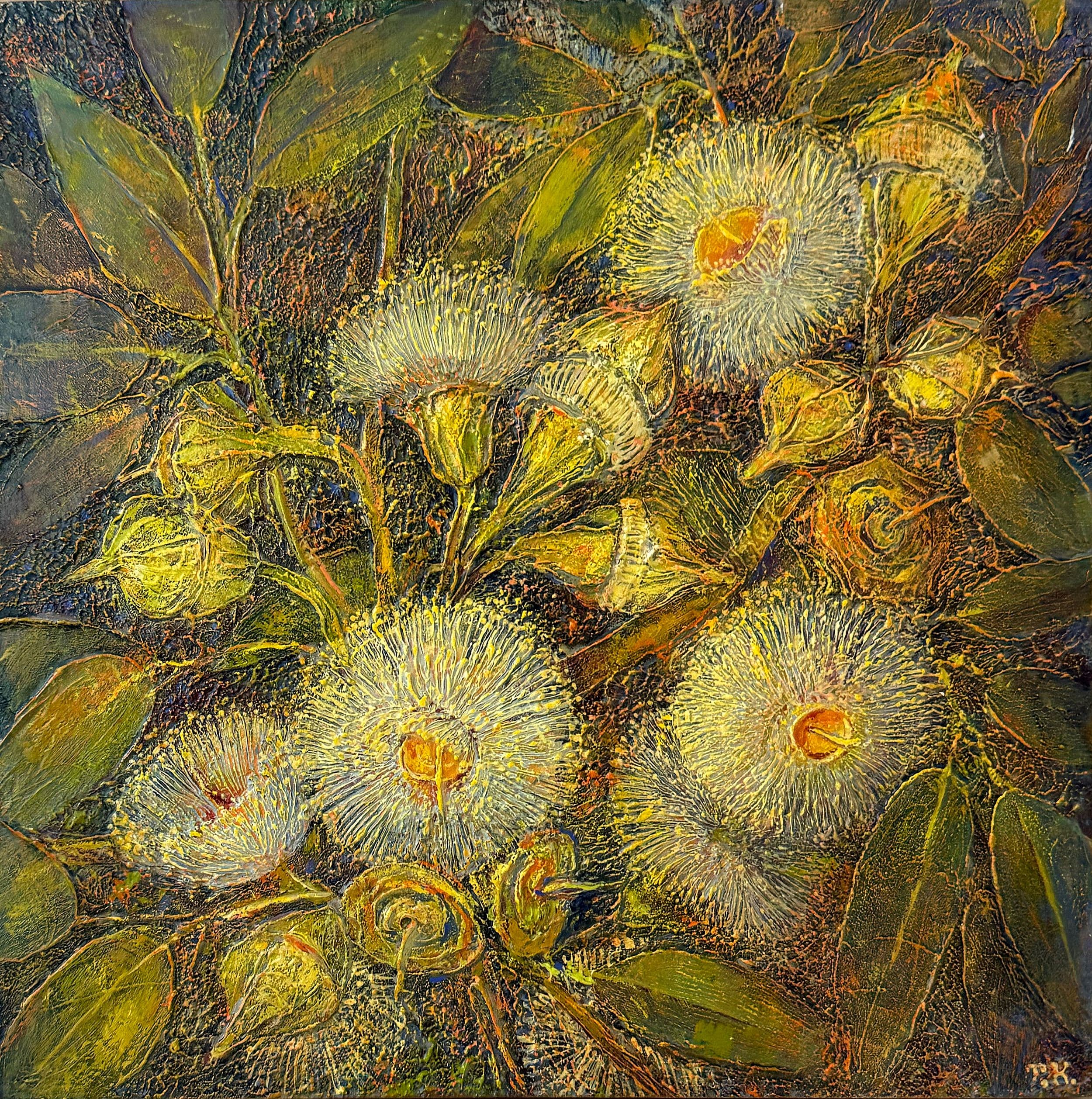 Nocturne for large-fruited mallee