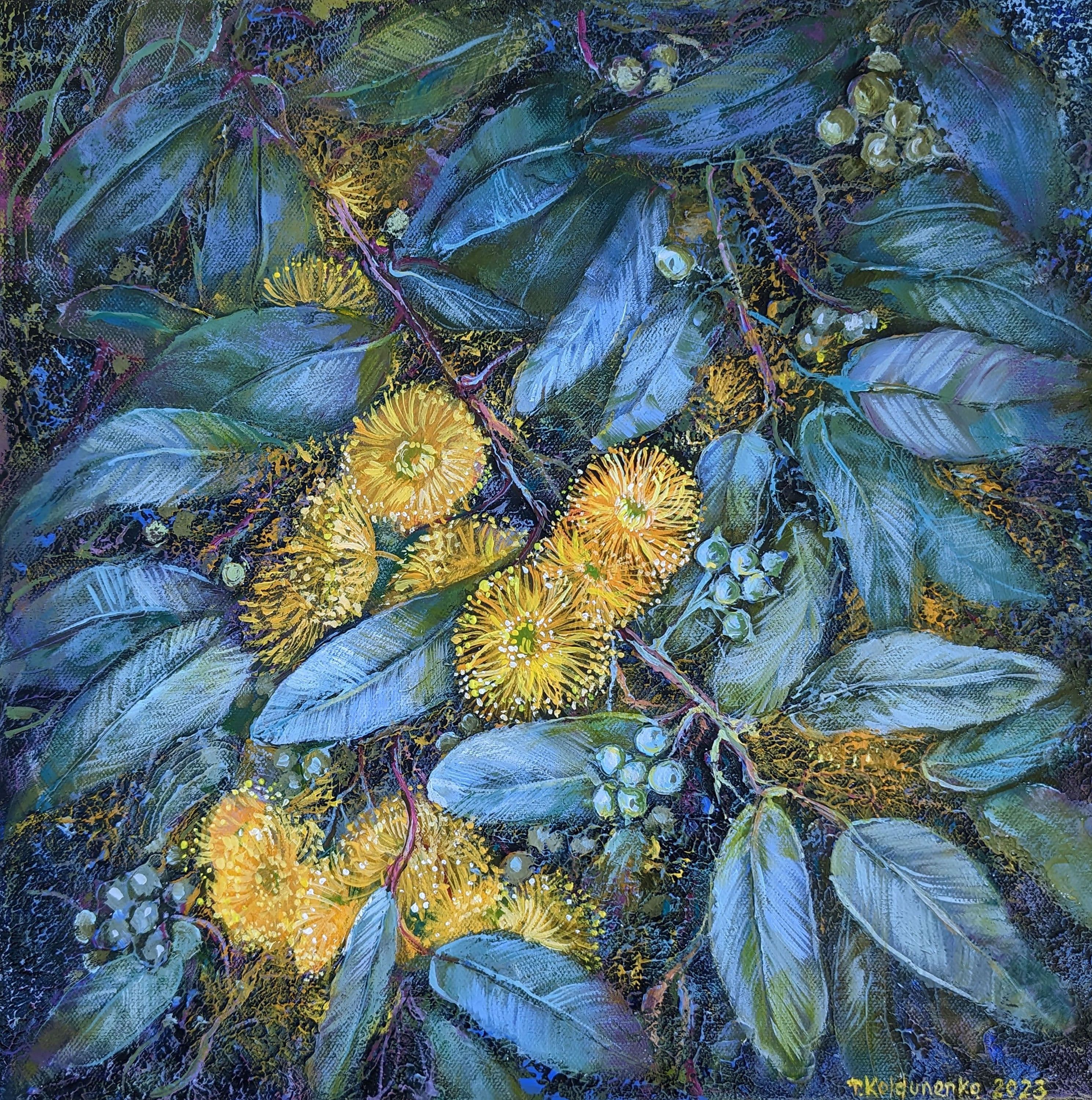 Eucalyptus woodwardii