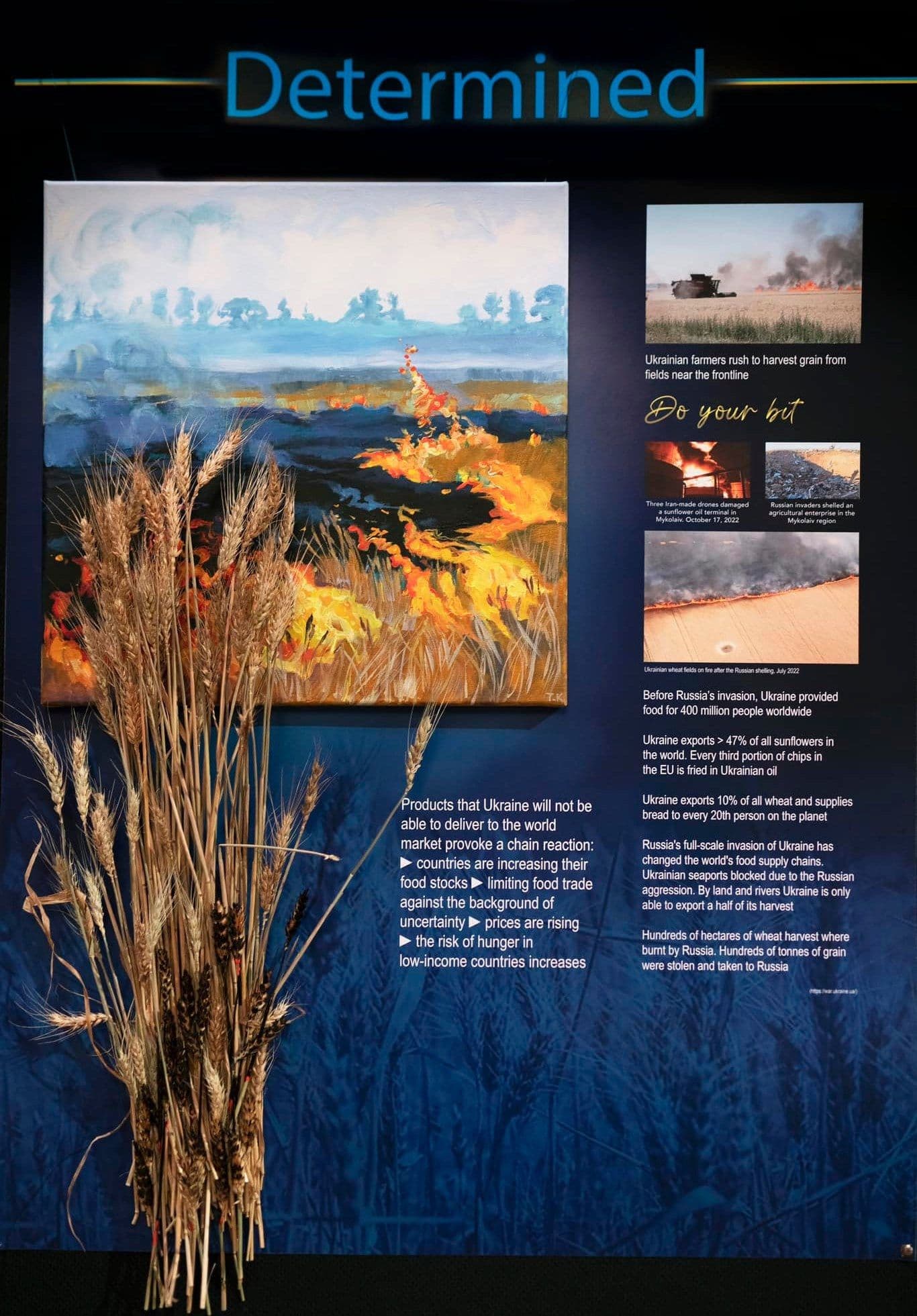Poster explaining the situation, artwork of burning fields and a bunch of real wheat spikes