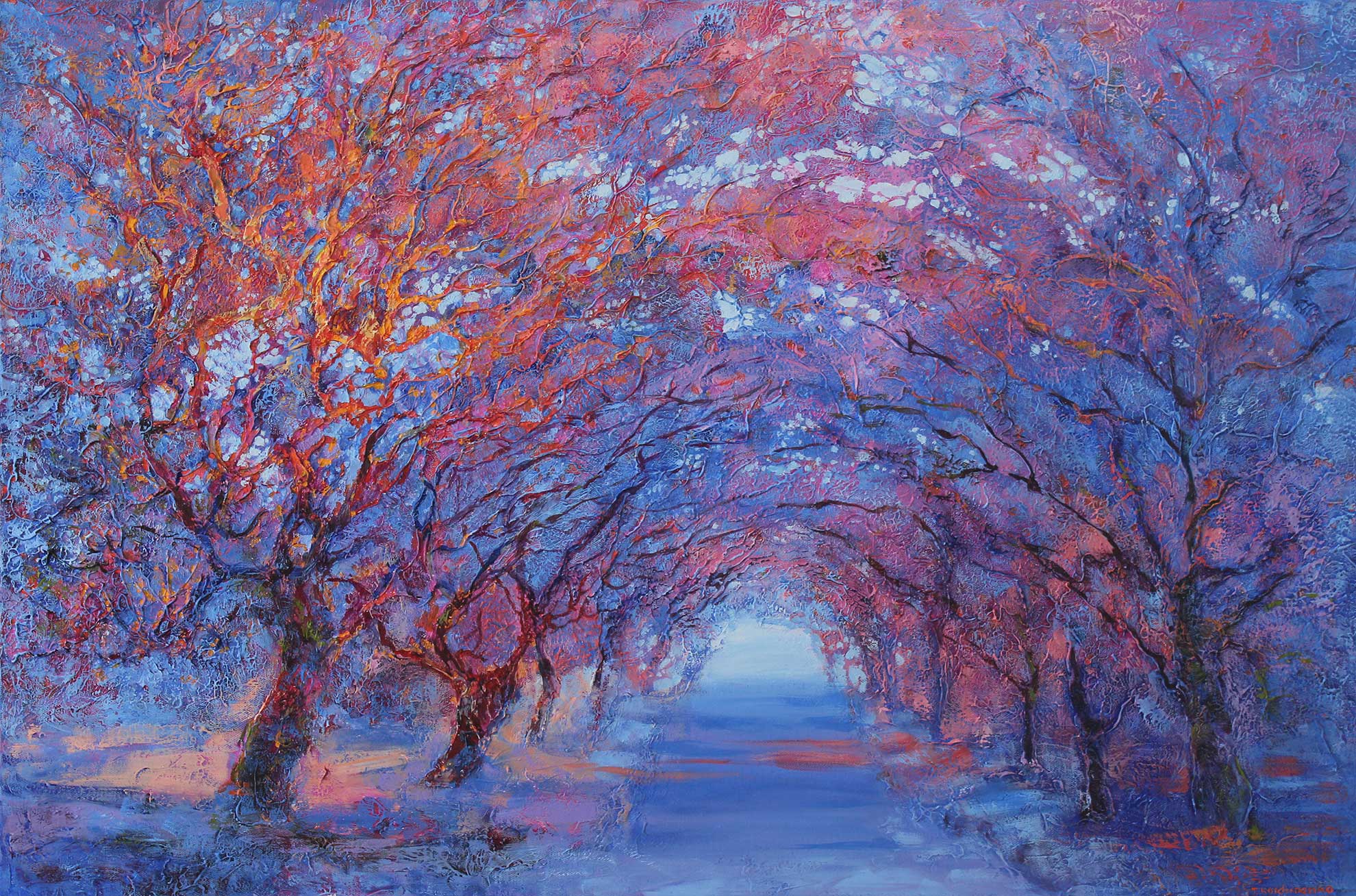 Jacaranda way in bloom